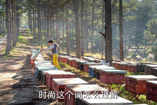 时尚这个词怎么理解