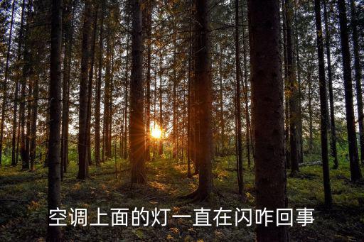 空调上面的灯一直在闪咋回事