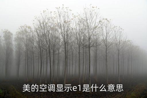 美的空调e1是什么问题，美的空调上显示E1是是什么意思