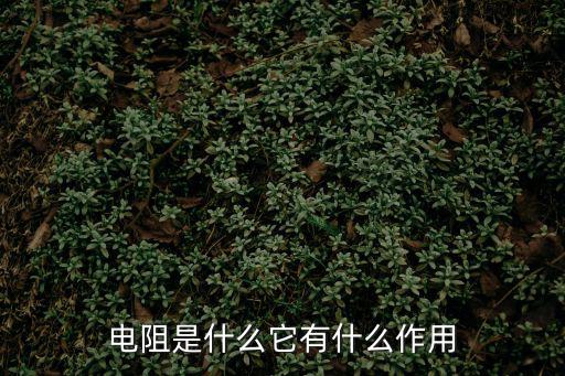 电阻是什么它有什么作用