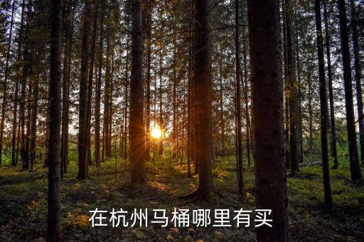 杭州 智能马桶哪里买，杭州下沙松下智能马桶厂家有直销马桶盖吗