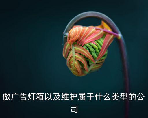 做广告灯箱以及维护属于什么类型的公司