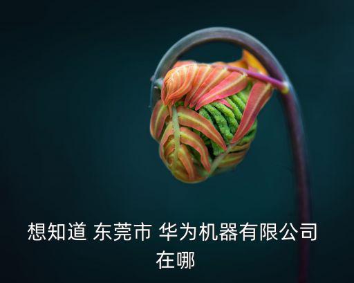 东莞华为售后地址在哪里，华为手机售后服务