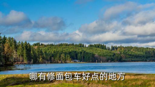 哪有修面包车好点的地方