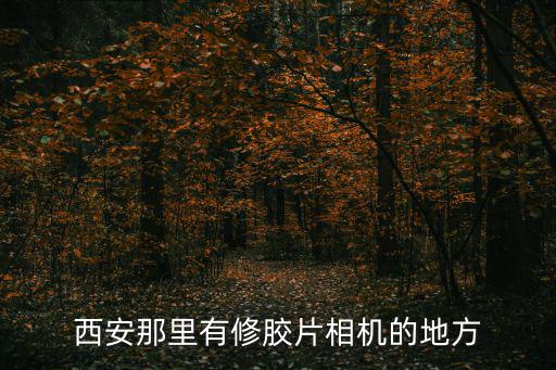 西安哪里有修相机的，西安那有专业修数码相机的