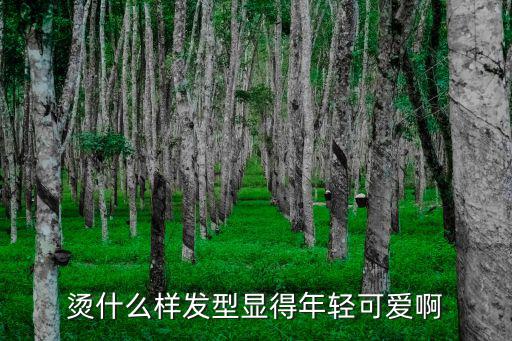 烫什么样发型显得年轻可爱啊