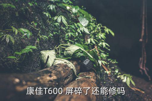康佳T600 屏碎了还能修吗