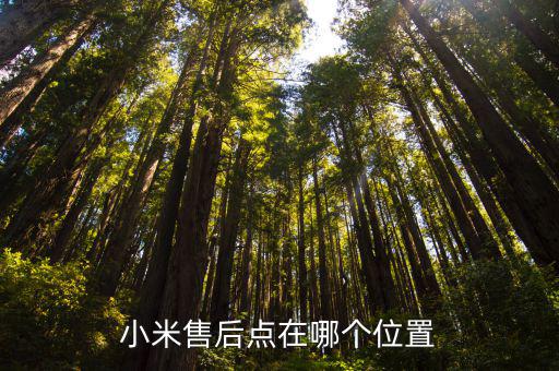 小米售后点在哪个位置