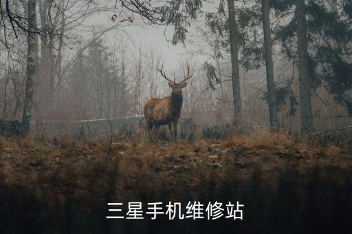 三星手机维修站
