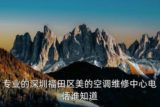 深圳美的修理店在哪里，深圳唯伊美修身堂在哪里