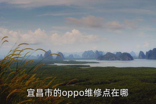 宜昌市的oppo维修点在哪