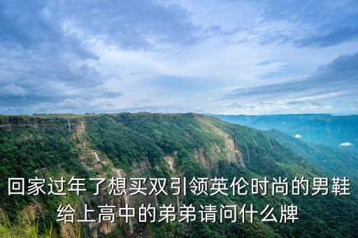 回家过年了想买双引领英伦时尚的男鞋给上高中的弟弟请问什么牌