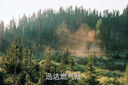 迅达煤气灶电池在哪里，迅达燃气灶耗电很快大号的电池只能用一周是什么原因