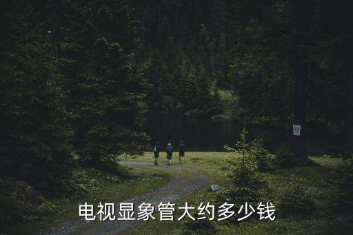 电视显象管大约多少钱