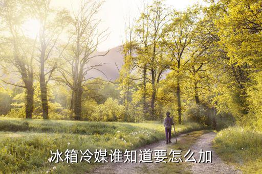 冰箱冷媒谁知道要怎么加