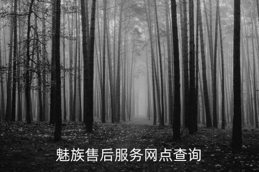 魅族售后服务网点查询