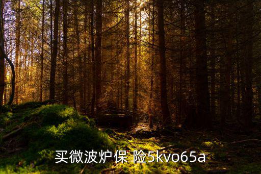 买微波炉保 险5kvo65a