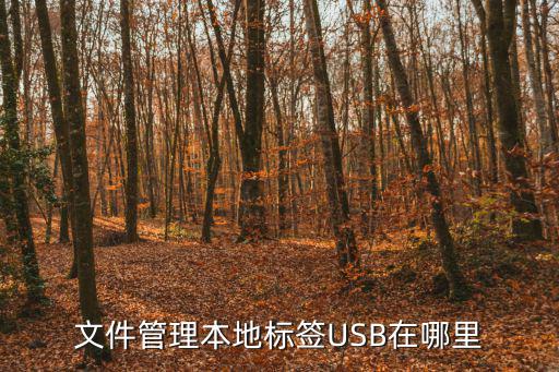 美的保修卡a联在哪里，文件管理本地标签USB在哪里