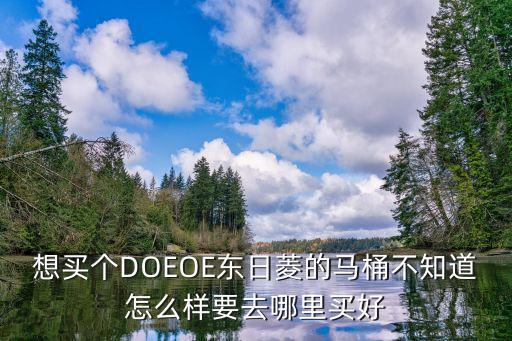 想买个DOEOE东日菱的马桶不知道怎么样要去哪里买好