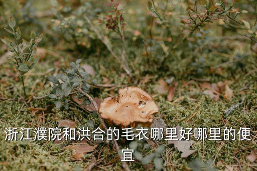 浙江濮院和洪合的毛衣哪里好哪里的便宜