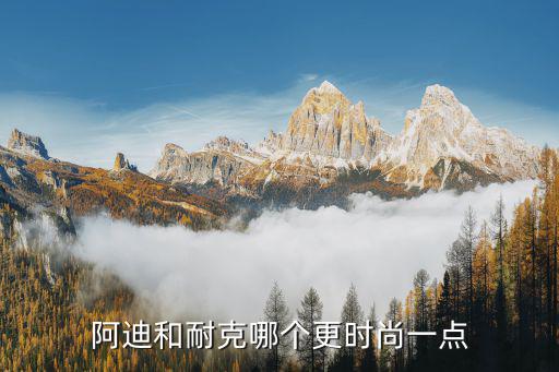 阿迪达斯和耐克哪个时尚，阿迪和耐克哪个更时尚一点