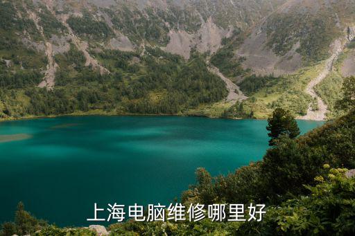 上海电脑维修哪里好