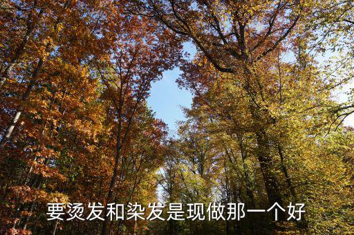 烫头和染发哪个时尚，要烫发和染发是现做那一个好