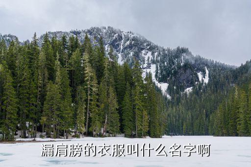 时尚露肩的衣服叫什么，漏肩膀的衣服叫什么名字啊