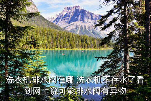 洗衣机排水阀在哪 洗衣机不存水了看到网上说可能排水阀有异物