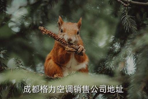 成都格力空调销售公司地址