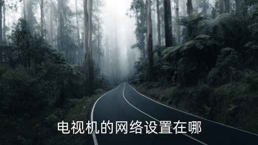 电视机的网络设置在哪