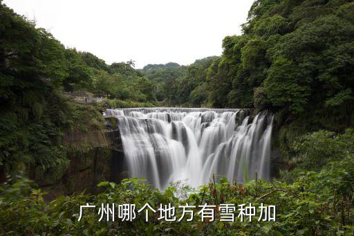 广州哪个地方有雪种加