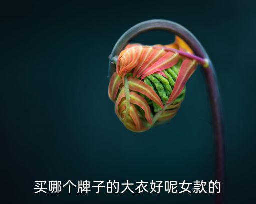 买哪个牌子的大衣好呢女款的