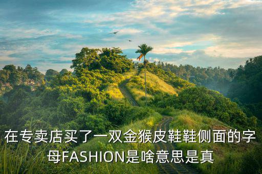 时尚驱动力是什么意思，汽车的驱动力是什么
