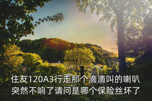 住友120A3行走那个滴滴叫的喇叭突然不响了请问是哪个保险丝坏了