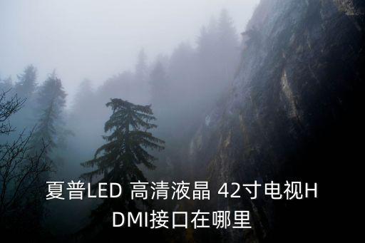 夏普LED 高清液晶 42寸电视HDMI接口在哪里