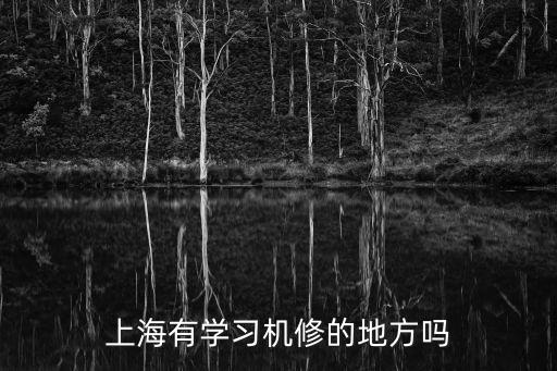 上海手机维修哪里学，谁知道上海那里有手机维修培训的地方呢