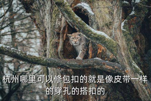 杭州哪里可以修包扣的就是像皮带一样的穿孔的搭扣的