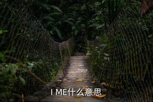 I ME什么意思