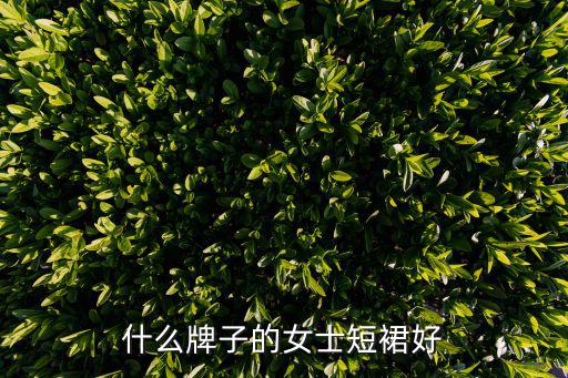 什么牌子的女士短裙好