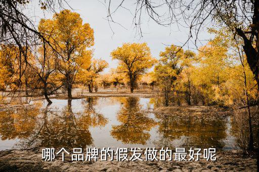 哪个整套假发品牌好看时尚，哪个品牌假发好