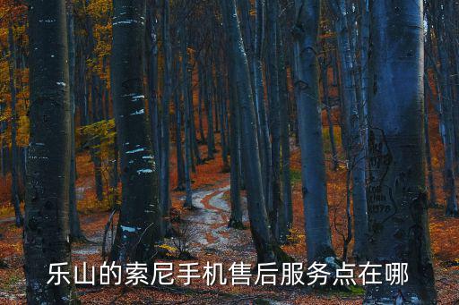 乐山哪里可以维修手机，乐山的索尼手机售后服务点在哪