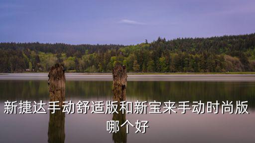 新捷达手动舒适版和新宝来手动时尚版哪个好