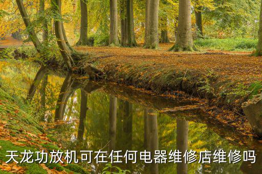 天龙功放机可在任何电器维修店维修吗