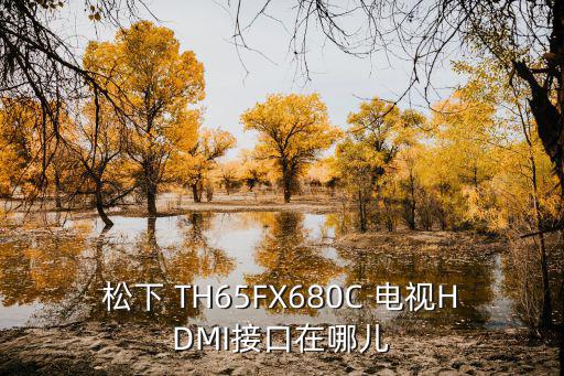 松下 TH65FX680C 电视HDMI接口在哪儿