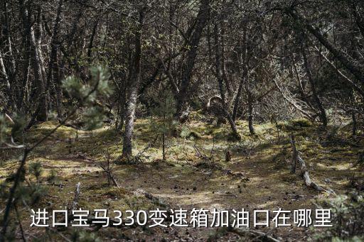 进口宝马330变速箱加油口在哪里