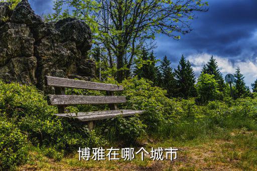 博雅在哪个城市