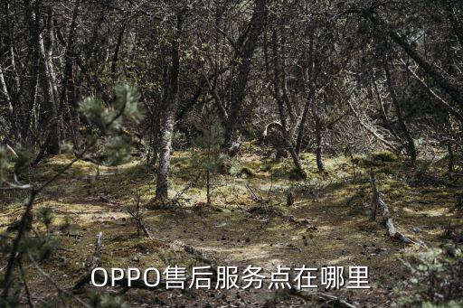 OPPO售后服务点在哪里