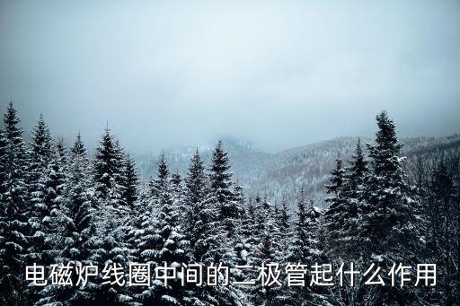 电磁炉线圈中间的二极管起什么作用
