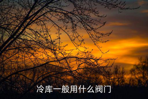 冷库一般用什么阀门
